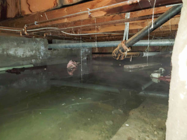Best Water damage restoration near me  in Jamestown, NY