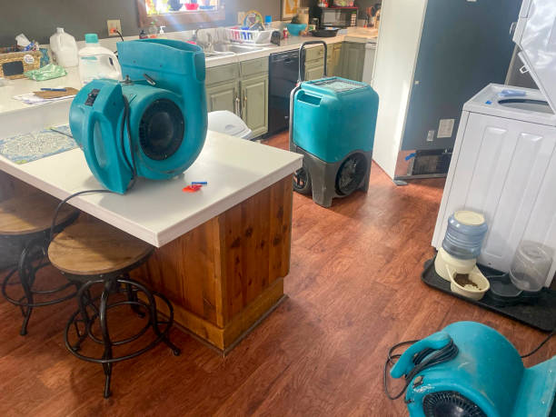 Best Water damage restoration services  in Jamestown, NY