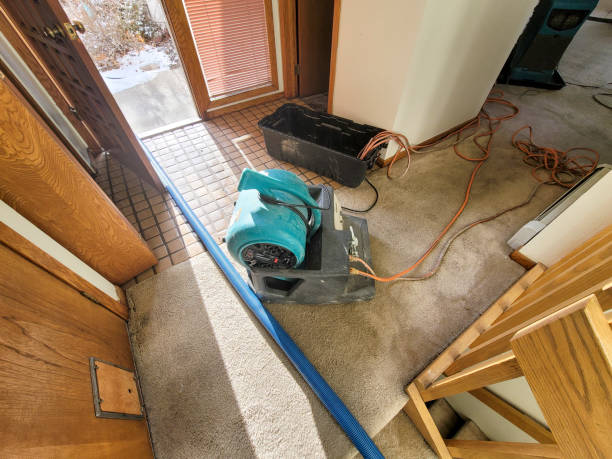 Best 24/7 water damage repair  in Jamestown, NY