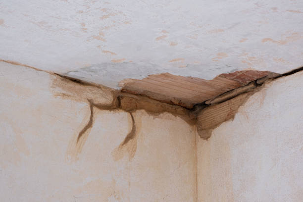 Best Emergency water damage restoration  in Jamestown, NY