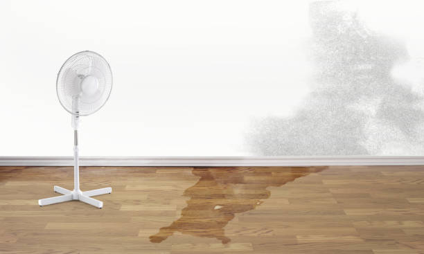  Jamestown, NY Water damage restoration Pros