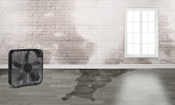 Best Commercial water damage restoration  in Jamestown, NY