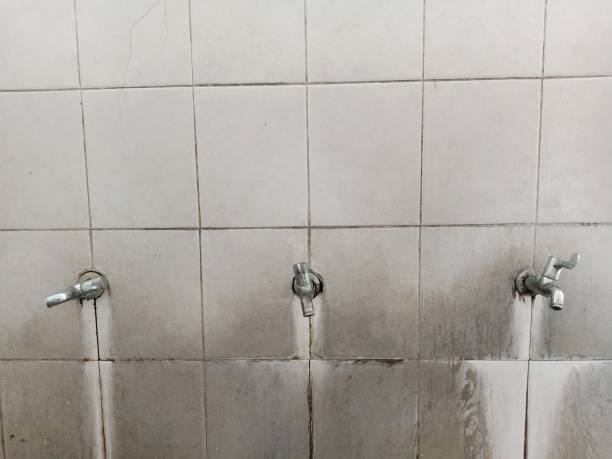 Best 24/7 water damage repair  in Jamestown, NY