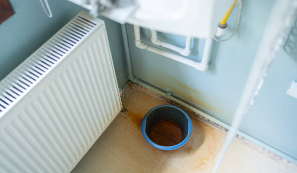 Best Water damage restoration specialists  in Jamestown, NY
