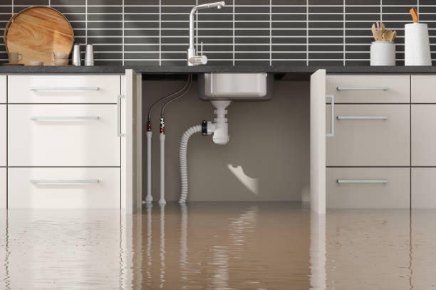 Best Carpet water damage restoration  in Jamestown, NY