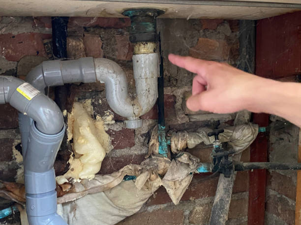 Best Water damage restoration process  in Jamestown, NY
